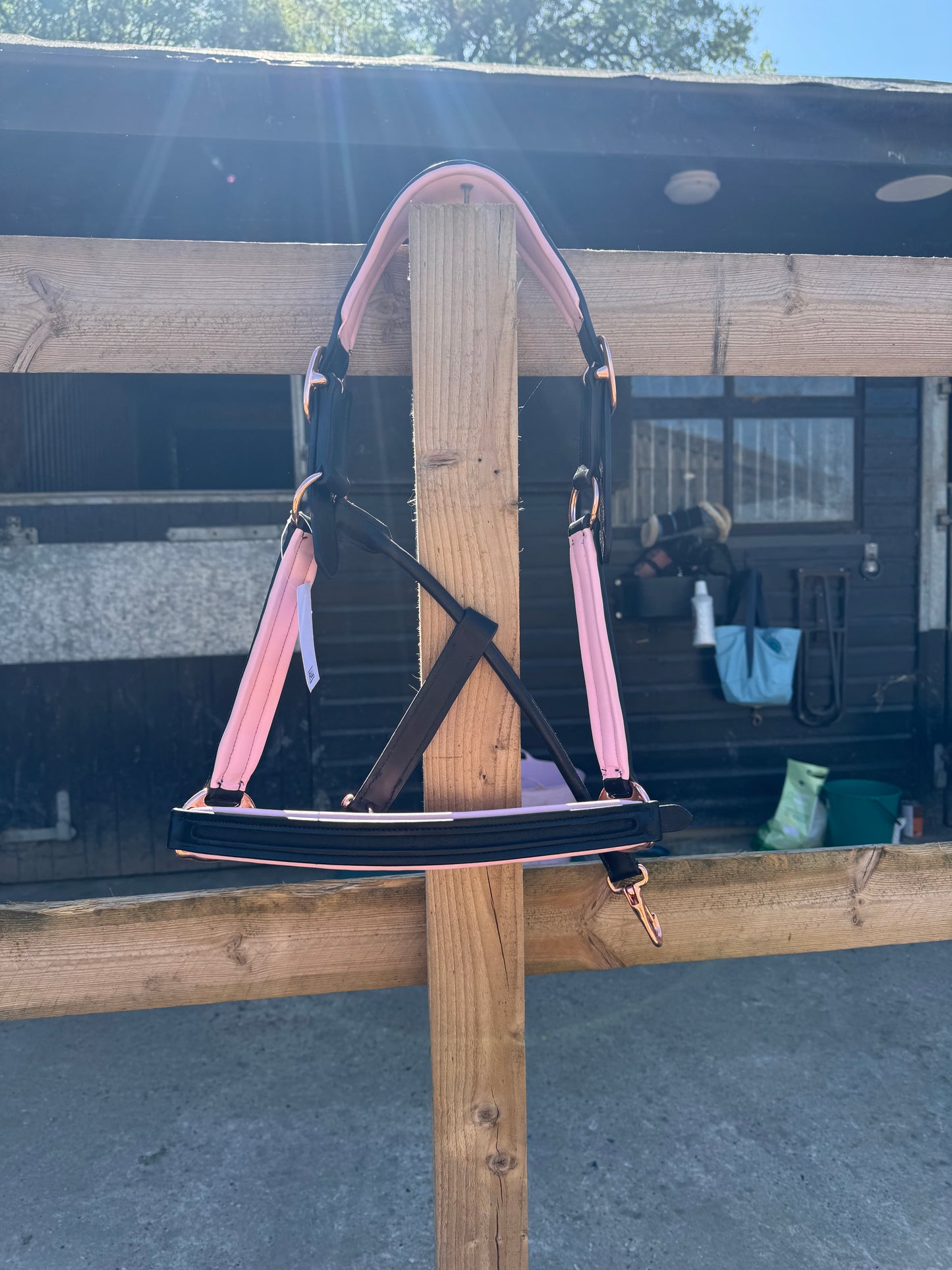 Beautiful black & brown leather head collars with pale pink or navy padding & navy rose gold buckles.