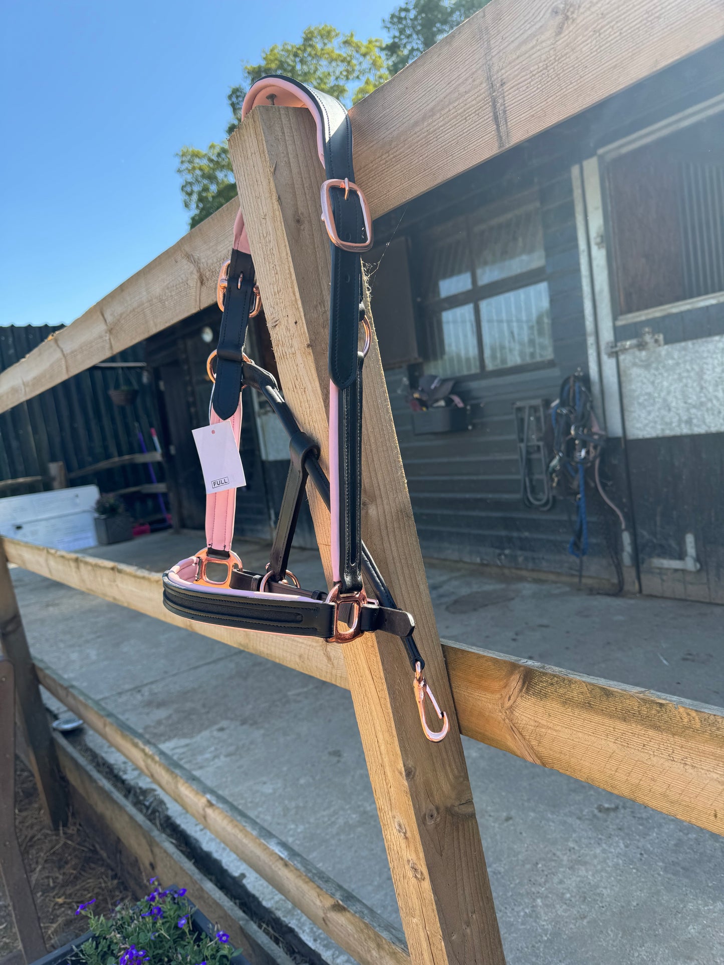 Beautiful black & brown leather head collars with pale pink or navy padding & navy rose gold buckles.