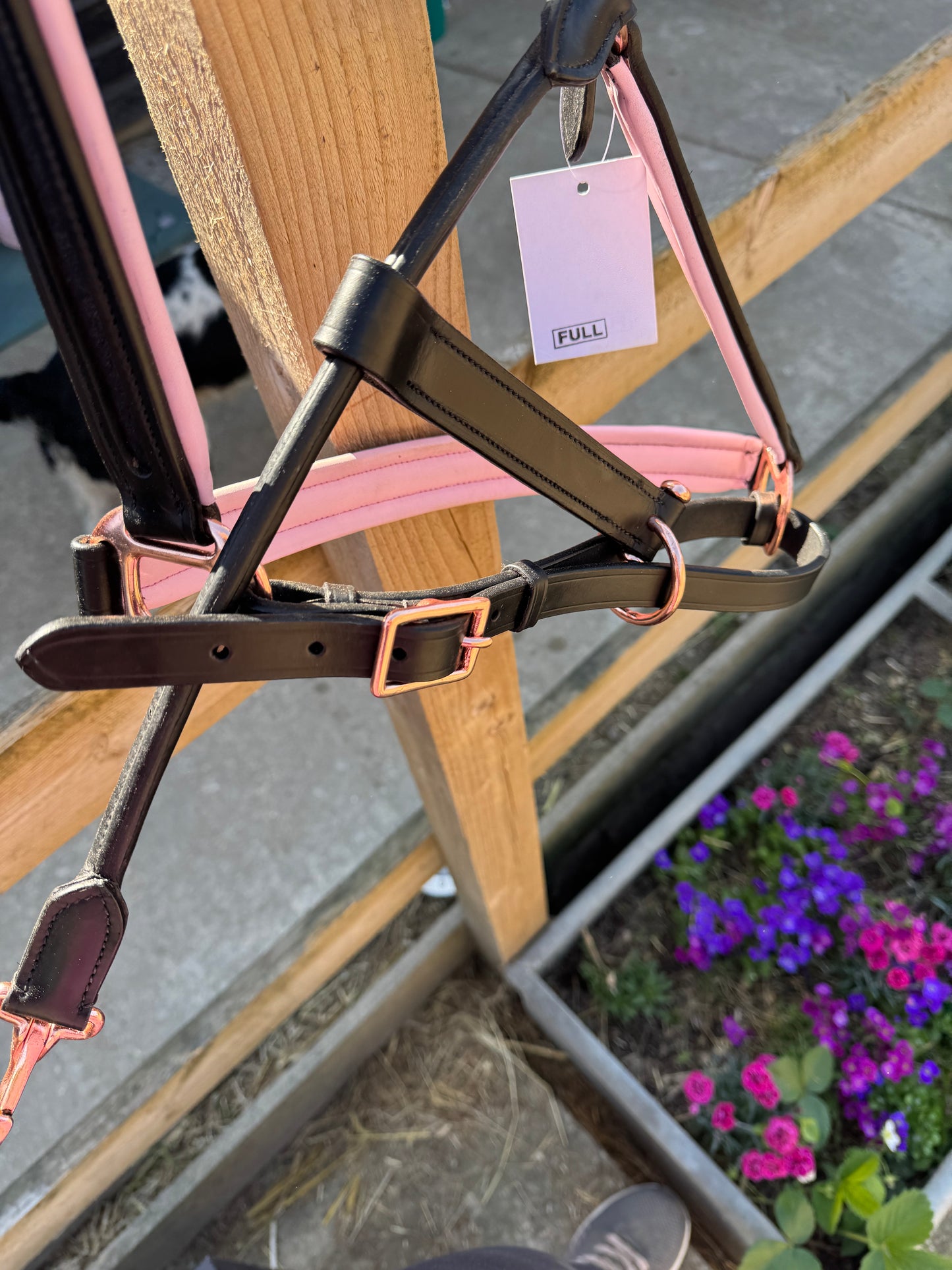 Beautiful black & brown leather head collars with pale pink or navy padding & navy rose gold buckles.